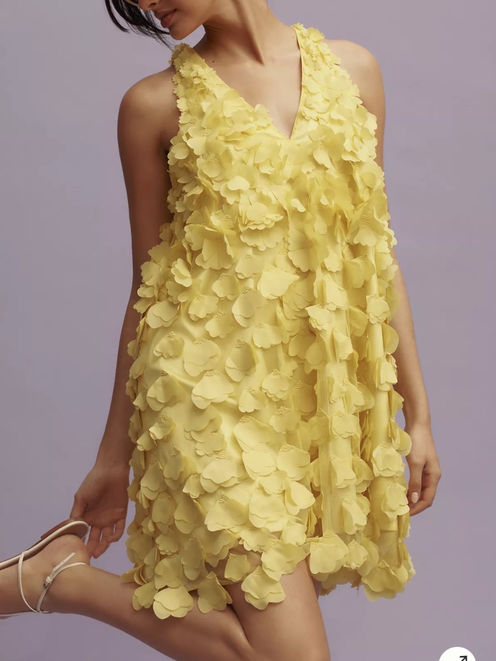 Maeve Anthropologie Sleeveless Floral Appliqué Mini Dress
